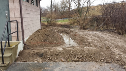 Winton Rain Garden 2014 (18)